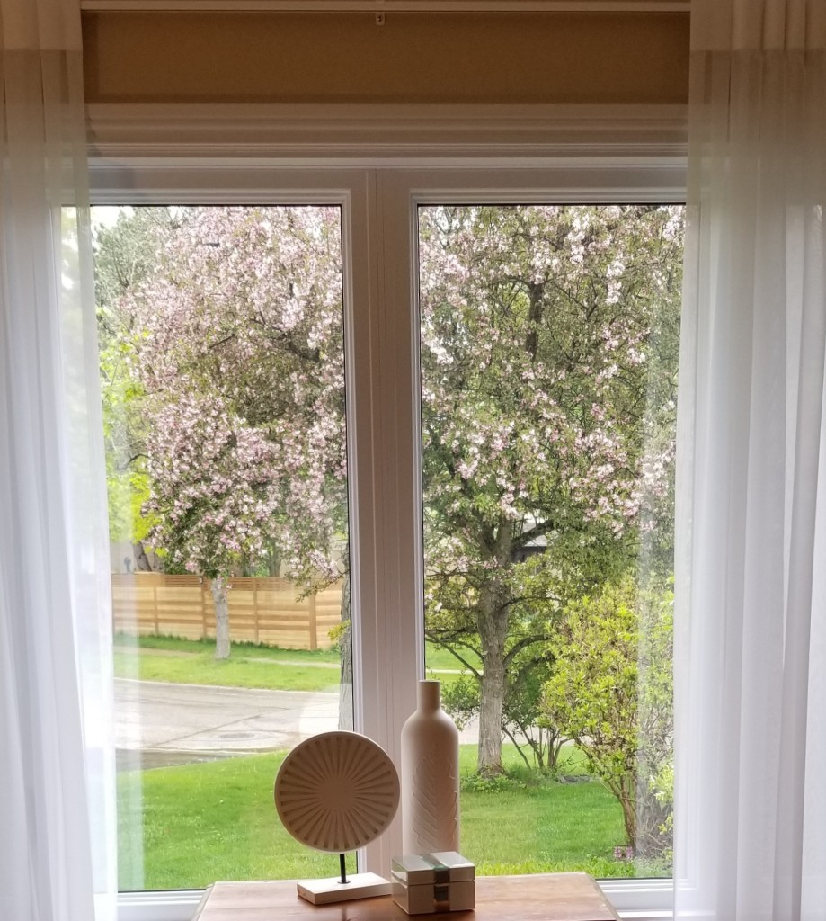 Windows help frame lovely views such as this flowering tree. It creates a live wall art to view from the room. So it becomes part of the home decor.