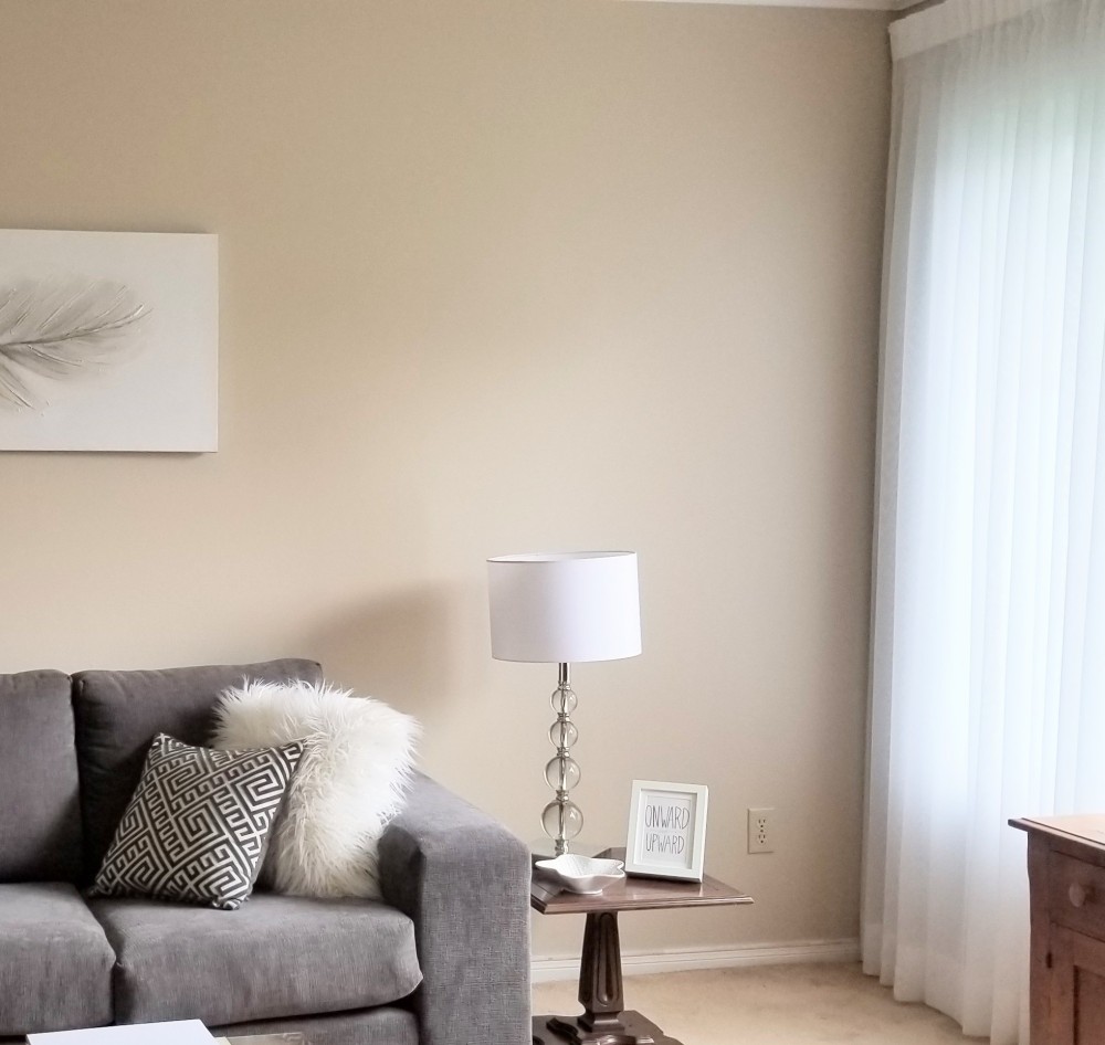 The white sheers support the interior design of the room.  They add more white to the room. They are a great window treatment to use for home staging.